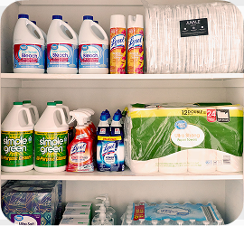 A supply closet filled with a selection of cleaning products.